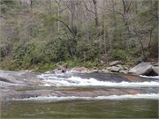 Wilsons Creek 31